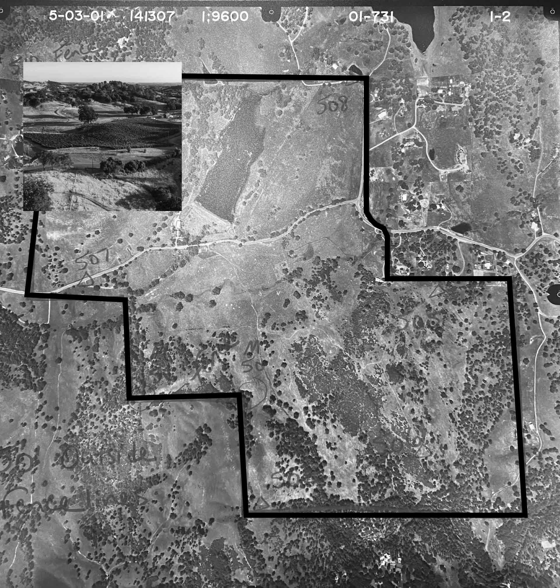 Domenico Winery CLONE |