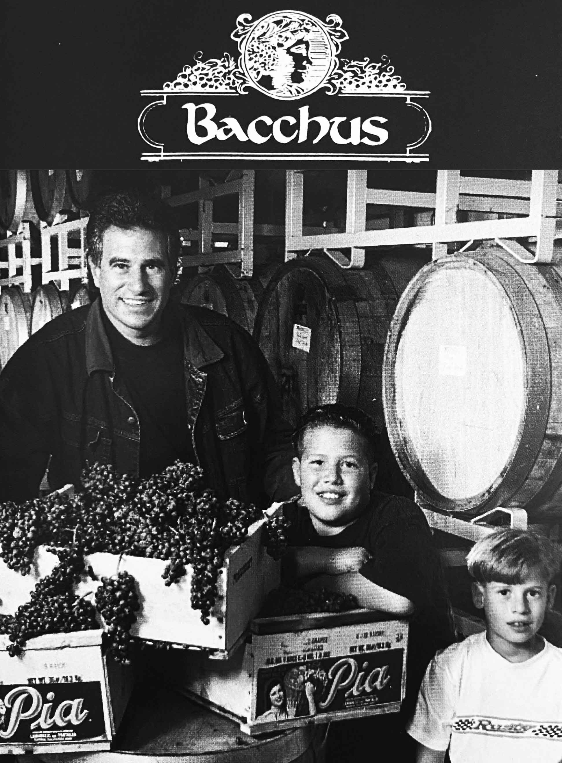 Domenico Winery CLONE |