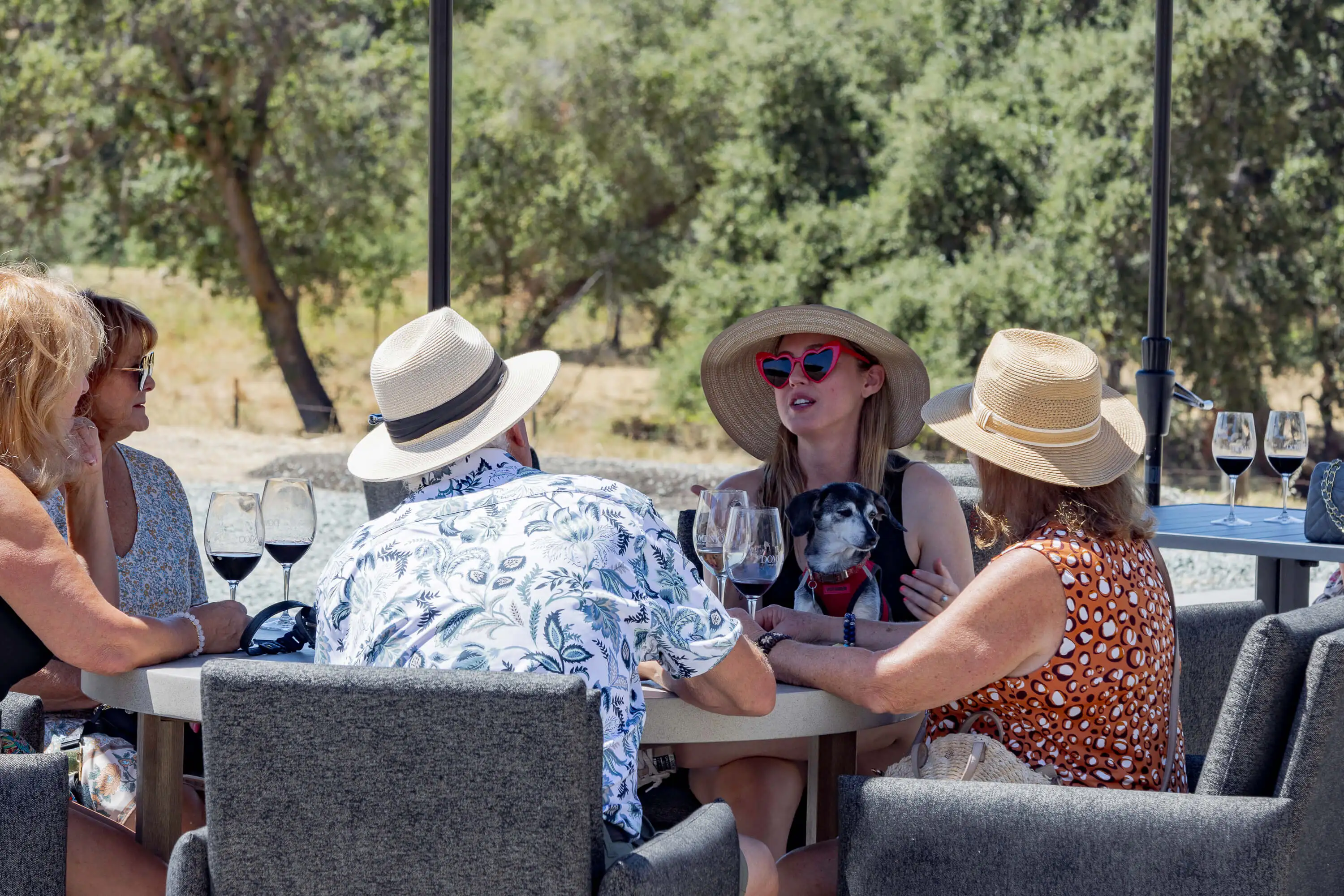 Domenico Winery CLONE |