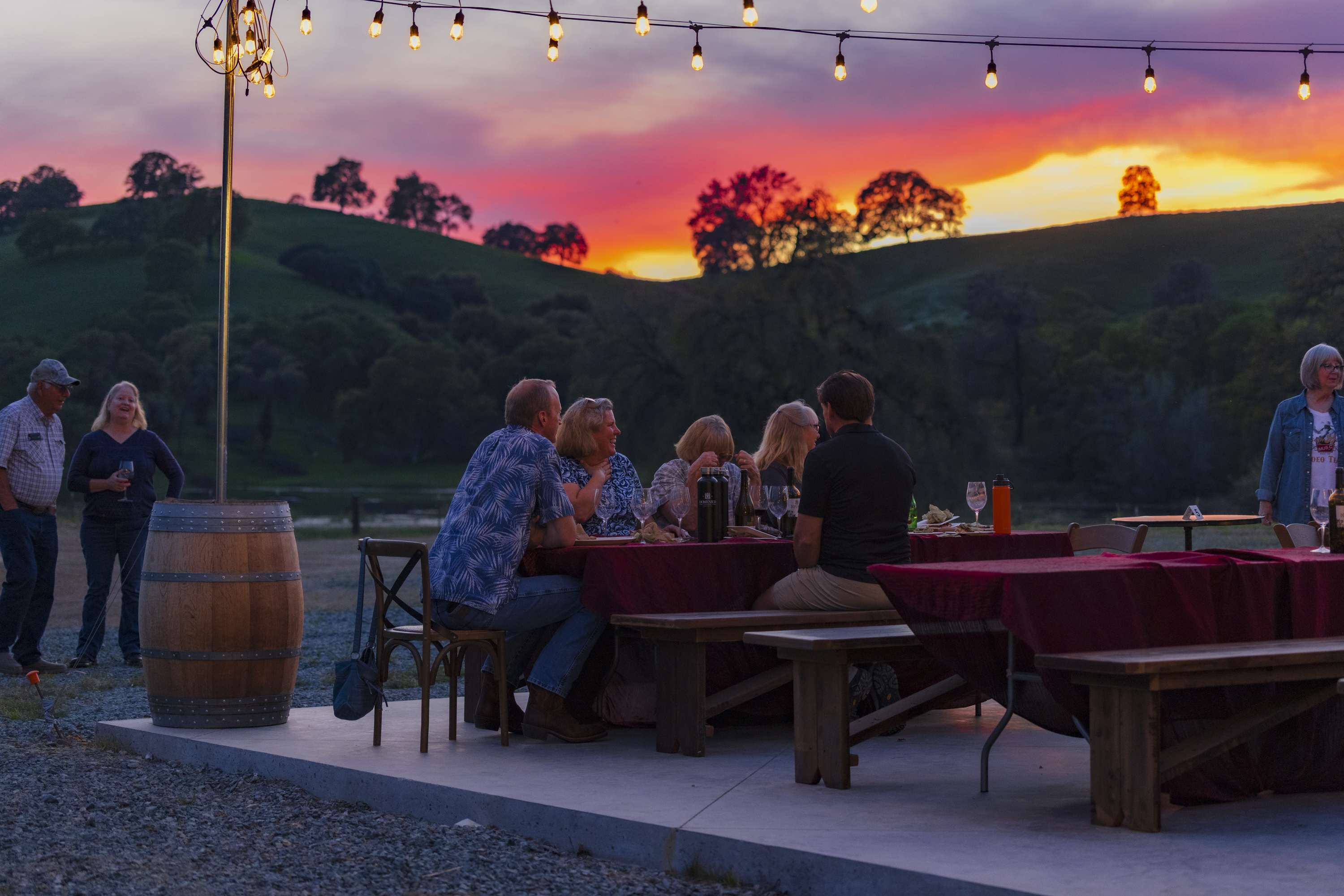 Domenico Winery CLONE |