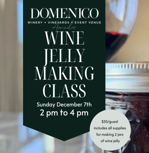Domenico Winery CLONE |