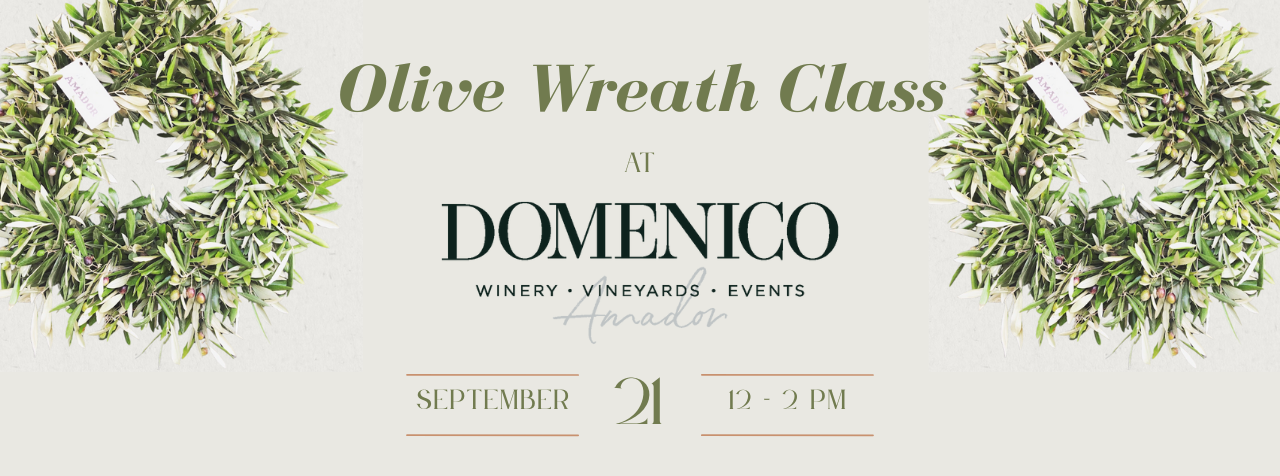 Domenico Winery CLONE |