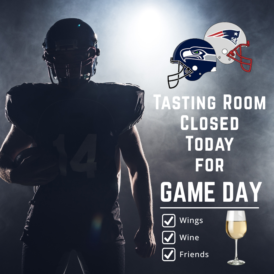 Domenico Winery CLONE |