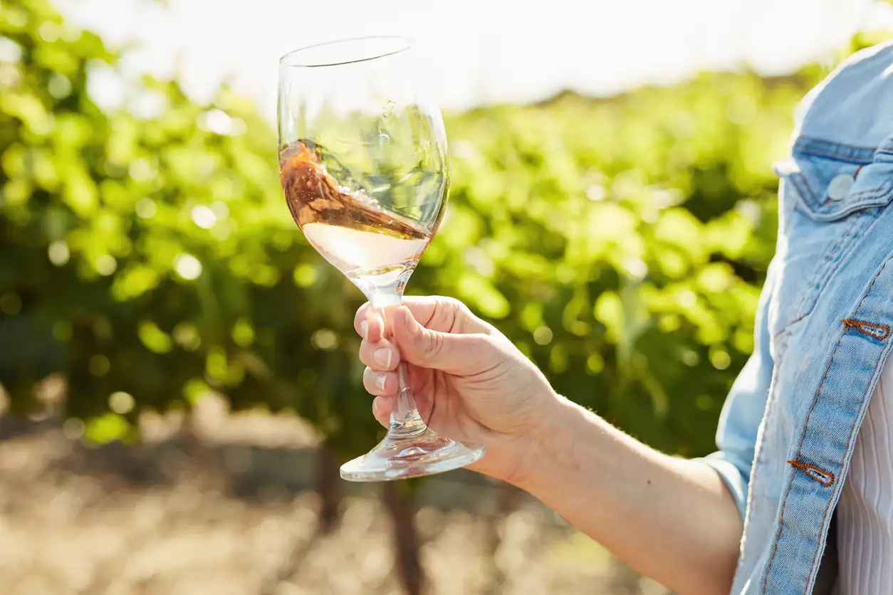 Hand holding a glass of rosé wine in a vineyard with lush greenery in the background.