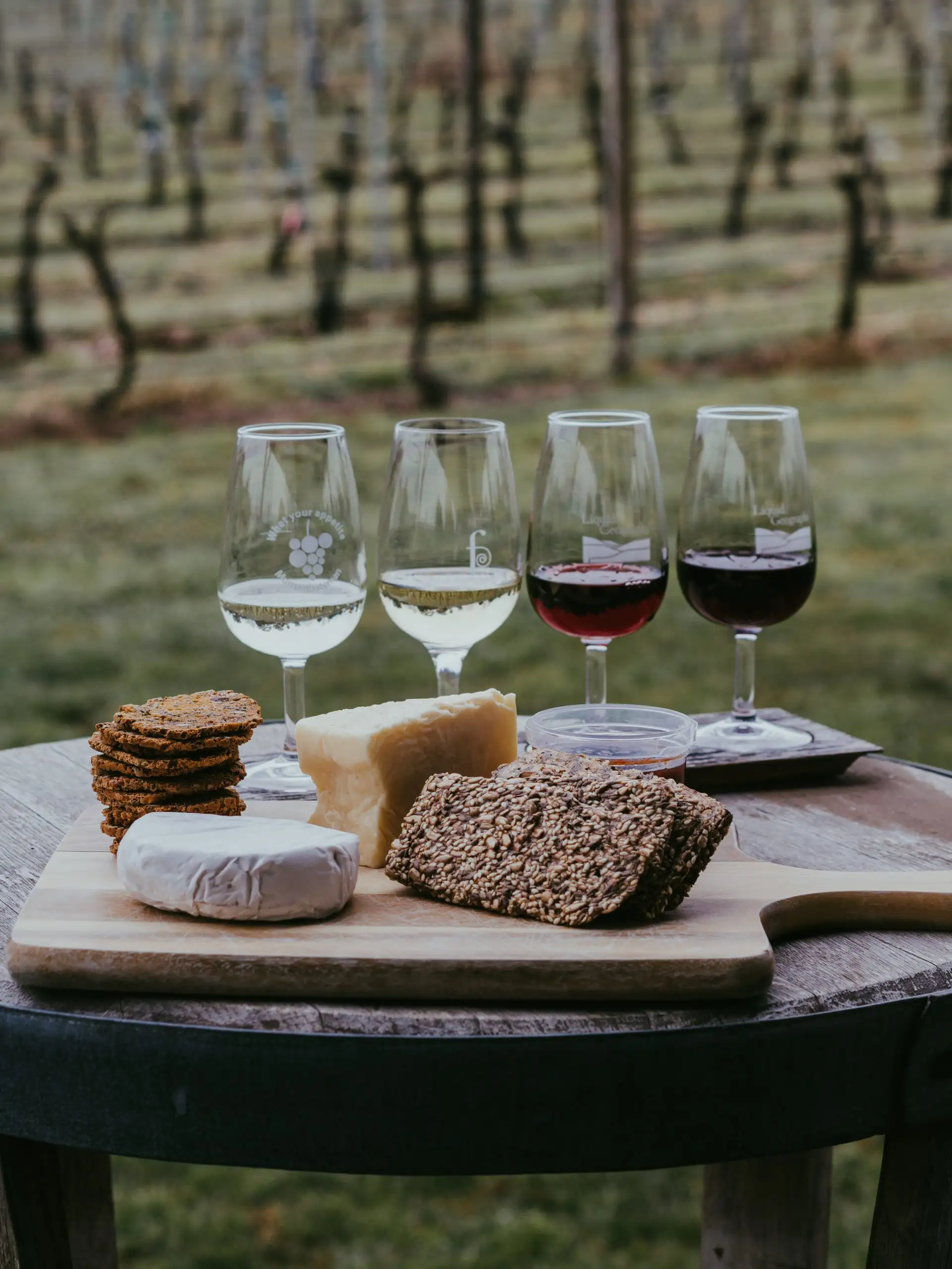 A wine tasting setup with glasses of red and white wine, cheese, and crackers on a table in a vineyard.